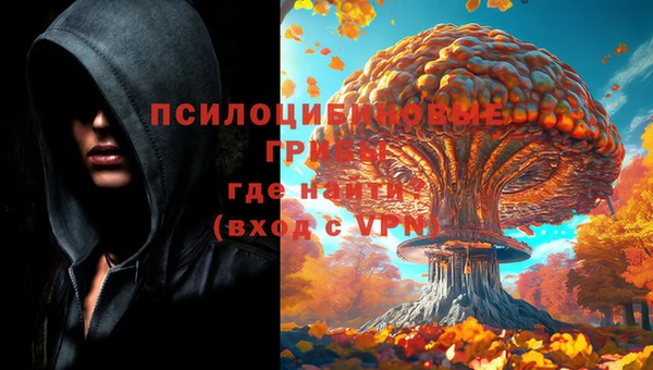 тгк Наволоки