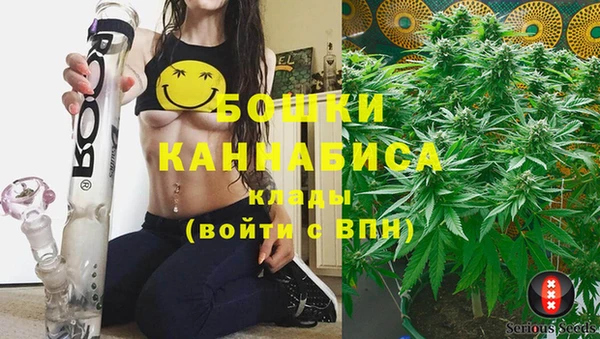 сатива Вязники