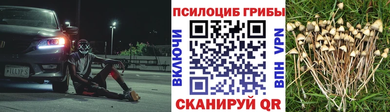 Псилоцибиновые грибы прущие грибы  Крым 